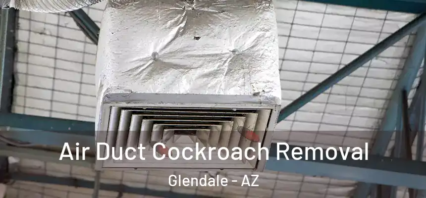 Air Duct Cockroach Removal Glendale - AZ