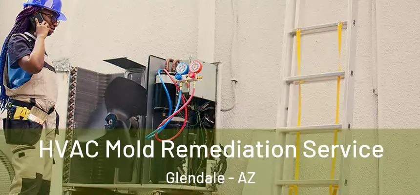 HVAC Mold Remediation Service Glendale - AZ