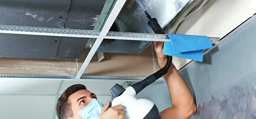 Our Air Duct Rodent Removal Services in Glendale, AZ