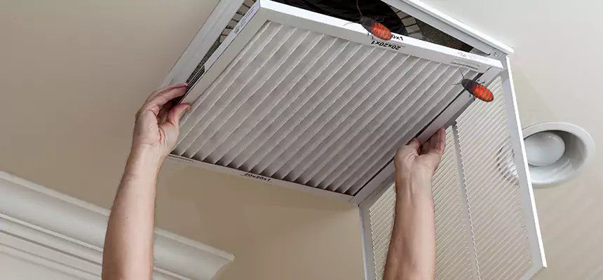 Our Insect Removal from Air Ducts Services in Glendale, AZ