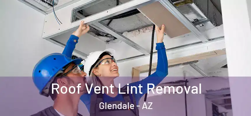 Roof Vent Lint Removal Glendale - AZ