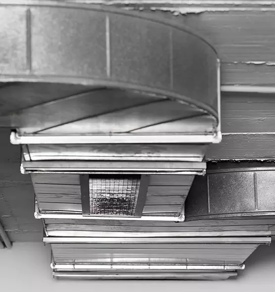 Professional Air Duct Pest Removal in Glendale, AZ