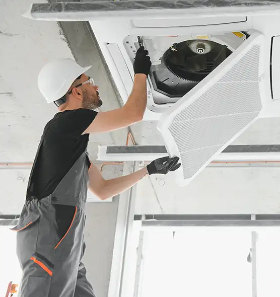 About Air Duct Rodent Removal in Glendale, AZ