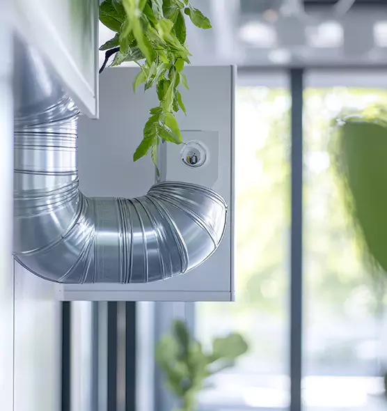 Professional Eco-Safe Dryer Vent Cleaning in Glendale, AZ