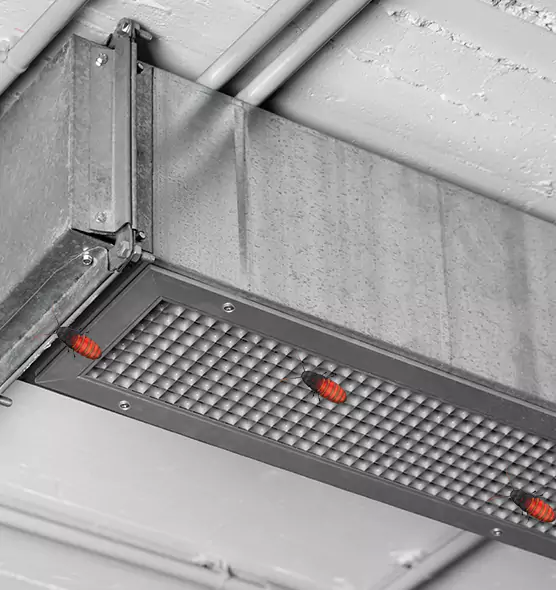 Affordable Insect Removal from Air Ducts in Glendale, AZ