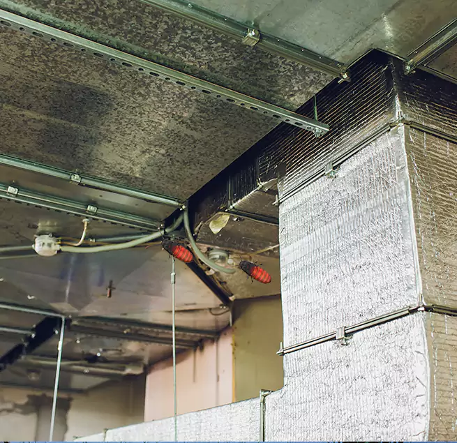 Why Homeowners & Businesses Trust Us in Glendale, AZ?