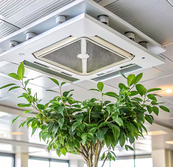 Why Homeowners & Businesses Trust Us in Glendale, AZ