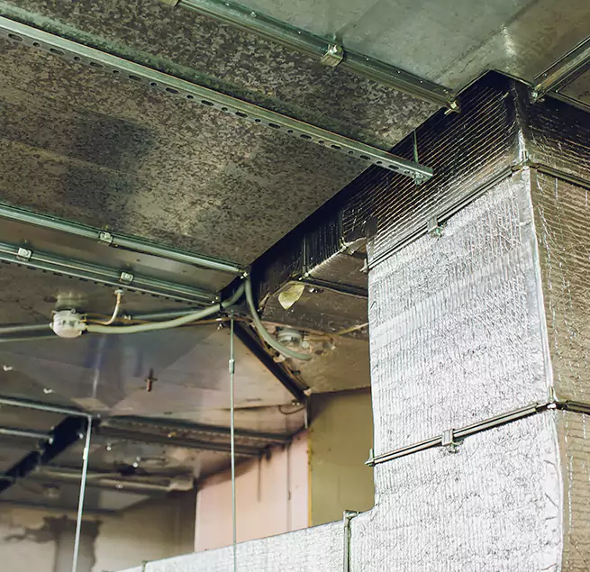 Why Homeowners & Businesses Trust Us in Glendale, AZ?