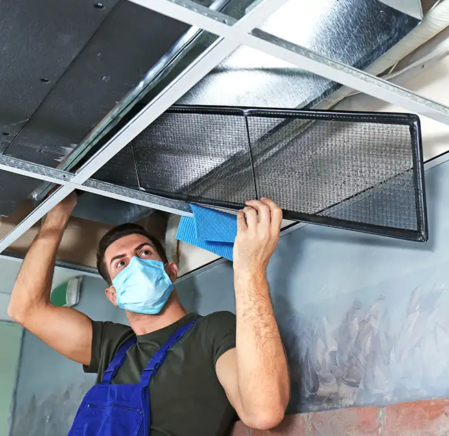 Why Homeowners & Businesses Trust Us in Glendale, AZ?