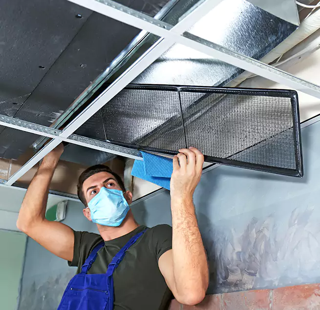 Why Homeowners Businesses Trust Us in Glendale, AZ?